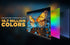 43" Full HD Google TV | LED-SGFV4301 (1m 08cm)